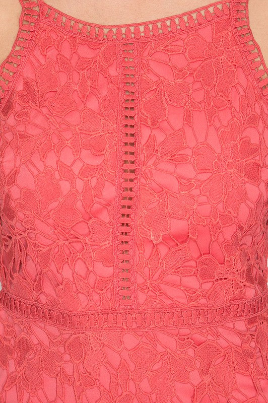 Ashlyn Sleeveless Lace Bodycon Dress in Coral Shop Hearts Ashlyn Sleeveless Lace Bodycon Dress in Coral Shop Hearts