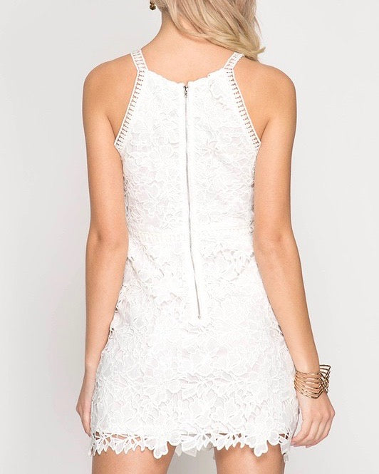Ashlyn Sleeveless Lace Bodycon Dress in Off White