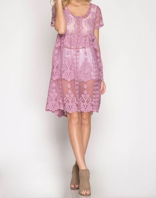 Sheer Short Sleeve Crochet Lace Dress in More Colors