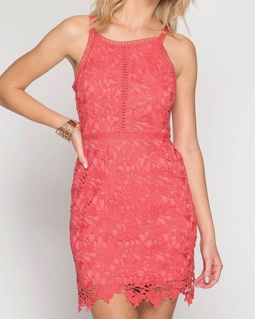Ashlyn Sleeveless Lace Bodycon Dress in Coral – Shop Hearts