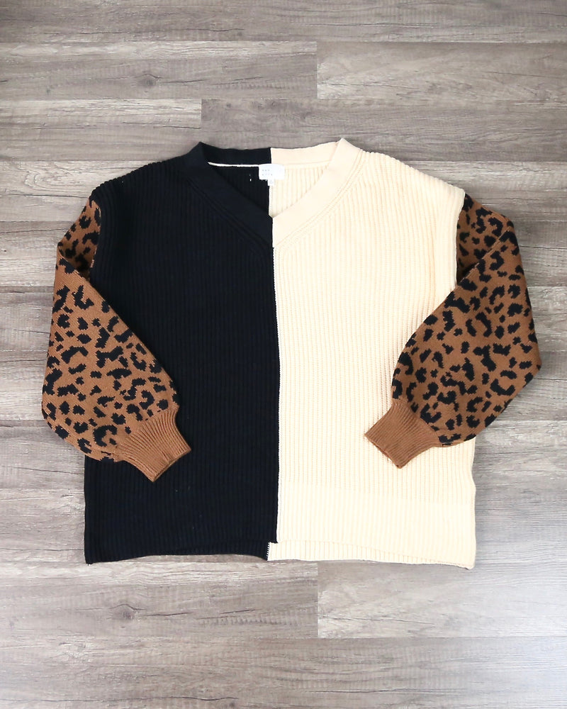 Melissa Multi Striped Color Block Animal Print Sweater