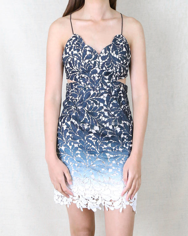 Selfie Leslie - Ombre Crochet Overlay Bodycon Dress in More Colors