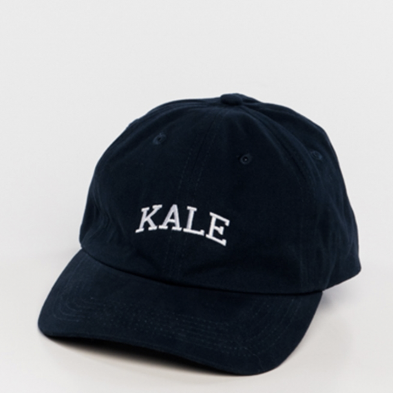 sub_urban riot - kale dad hat -  navy - shophearts