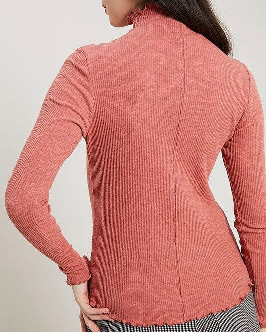 Long Sleeve Ribbed Mock Neck Knit Top in Brick